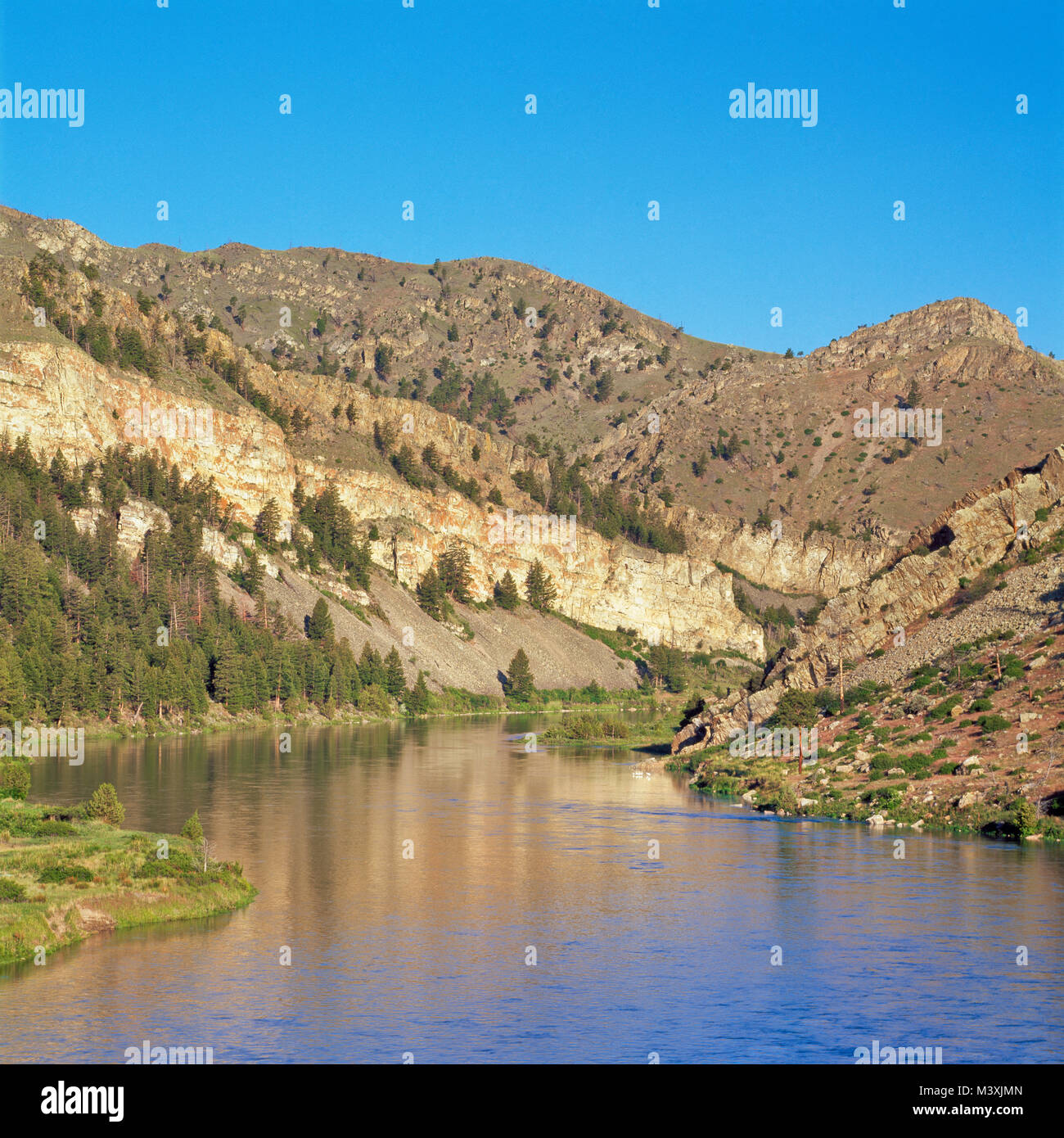 Mt 8835 hires stock photography and images Alamy