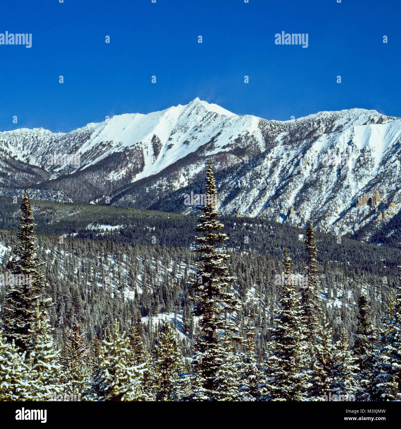 wilson peak in the spanish peaks section of the madison range in winter above big sky, montana Stock Photo