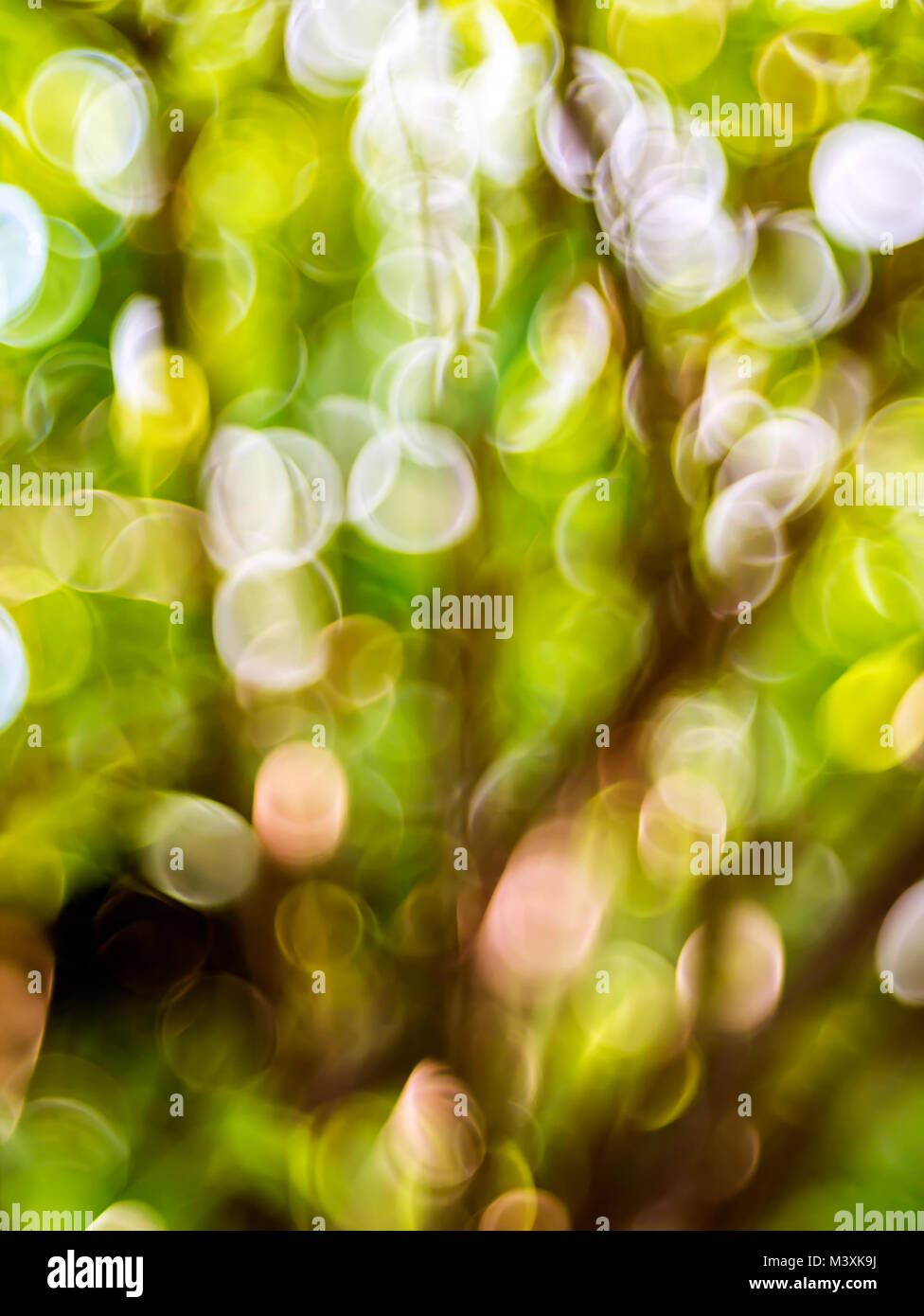 Defocus green hi-res stock photography and images - Alamy