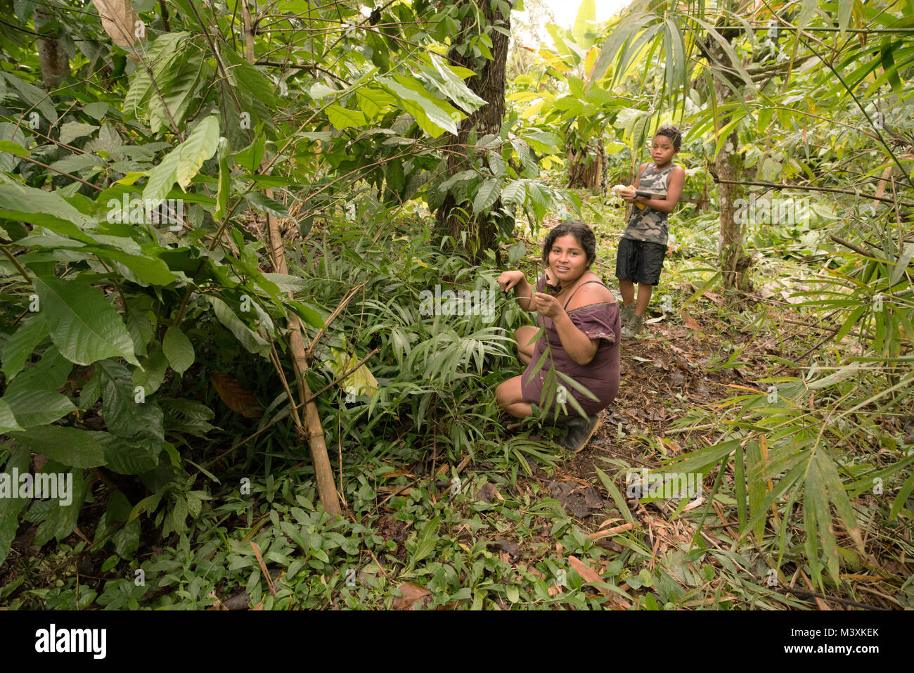 A Bribri shaman explains the traditional medicinal plants that she grows behind her house. Stock Photo