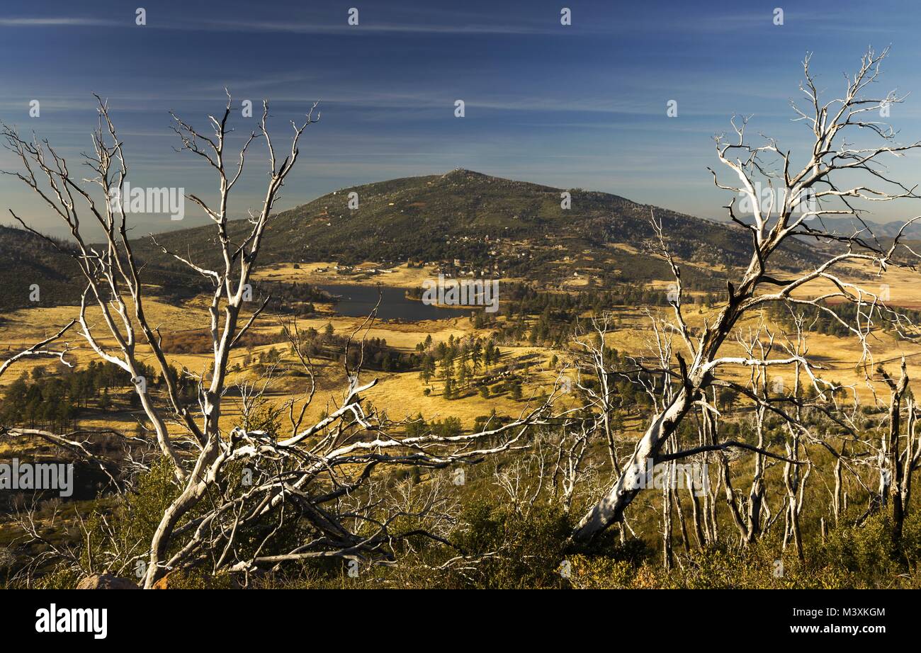 Dead Trees and Scenic Landscape View of Distant Lake Cuyamaca in east San Diego County from Stonewall Peak Hiking Trail in Rancho Cuyamaca State Park Stock Photo