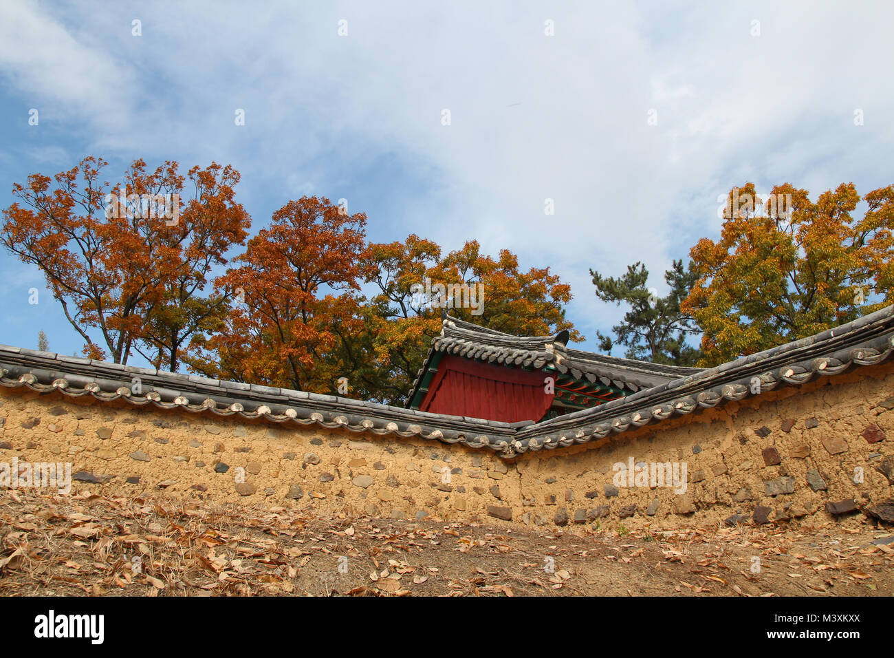Autumn leaves and the traditional Korea roof with blue sky, South Korea ...