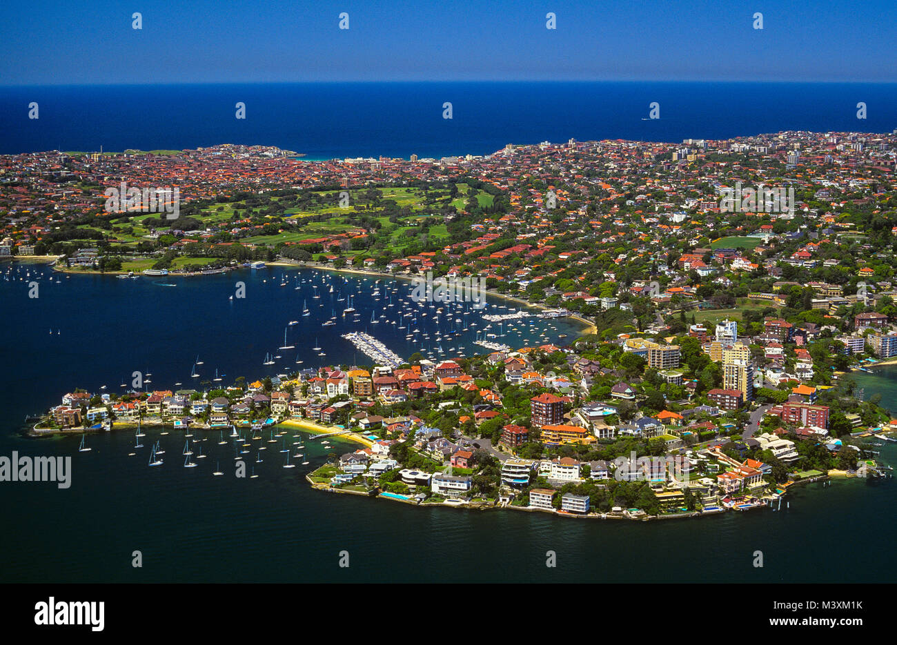 An aerial view of prime Eastern Suburbs real estate in Sydney