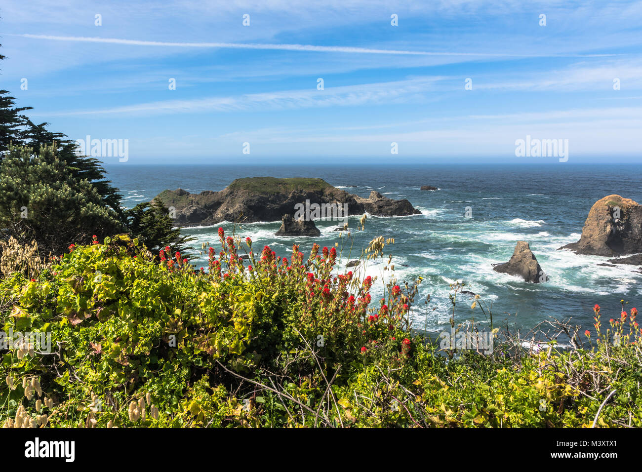 Fort Brag coast, California Stock Photo - Alamy