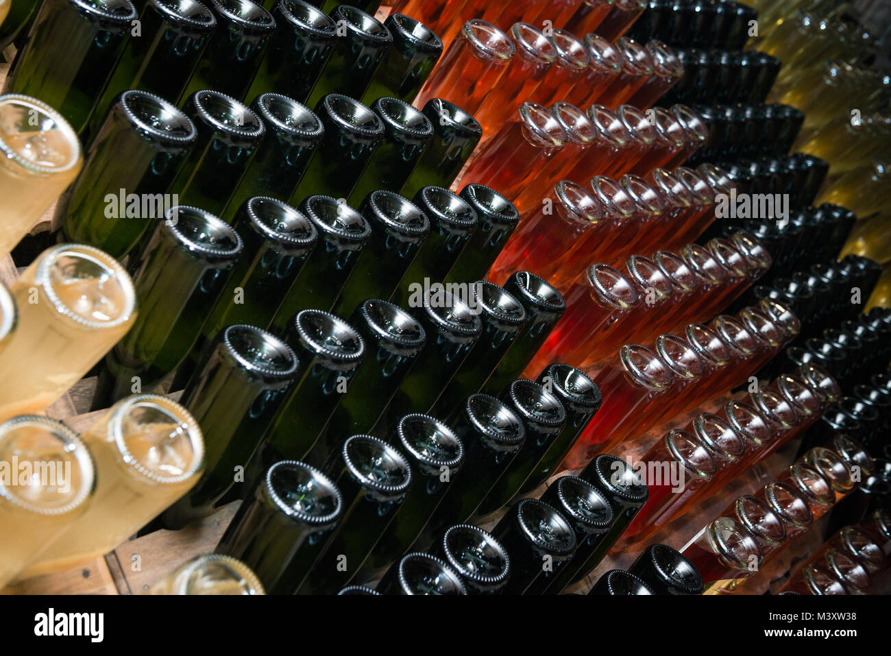 Sparkling wine bottles fermenting in winery Stock Photo