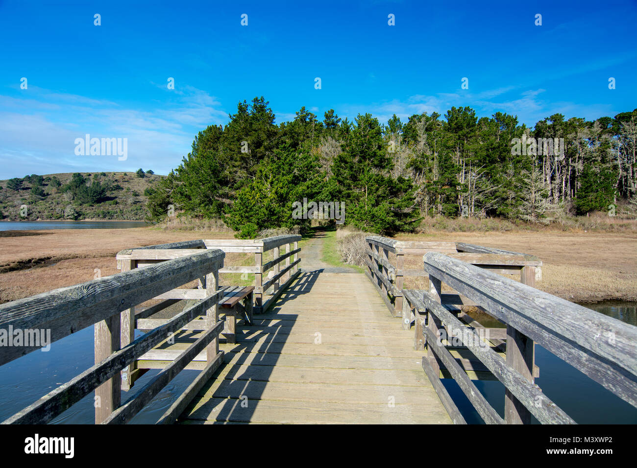 Point Reyes Bridge Bridge at the Estero Trail, Point Reyes National Seashore, Marin County ...