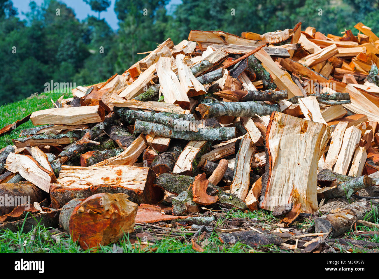 Firewood pile of roughly chopped wood for winter in the countryside Stock Photo