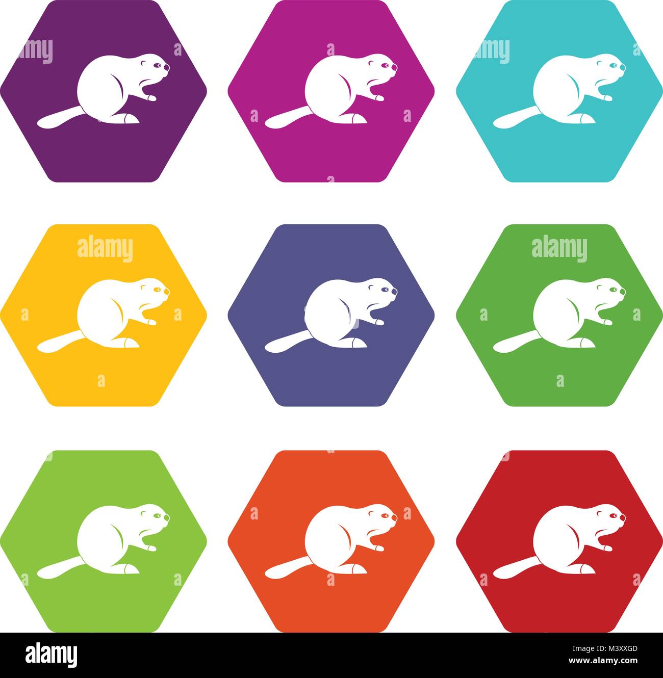 Canadian beaver icon set color hexahedron Stock Vector
