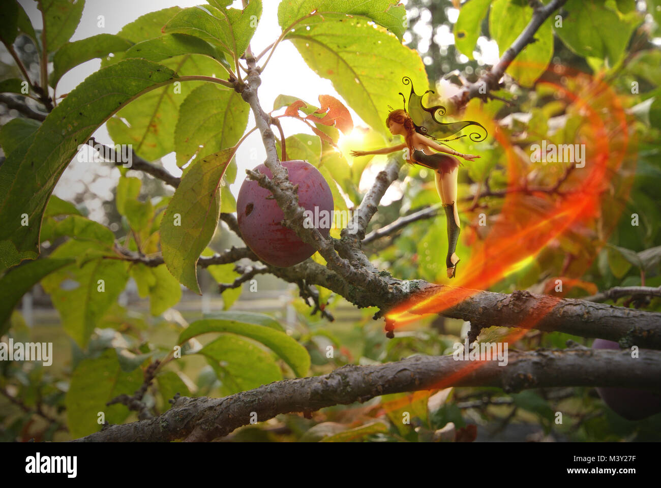 The garden fairy hard at work on the plums! Stock Photo