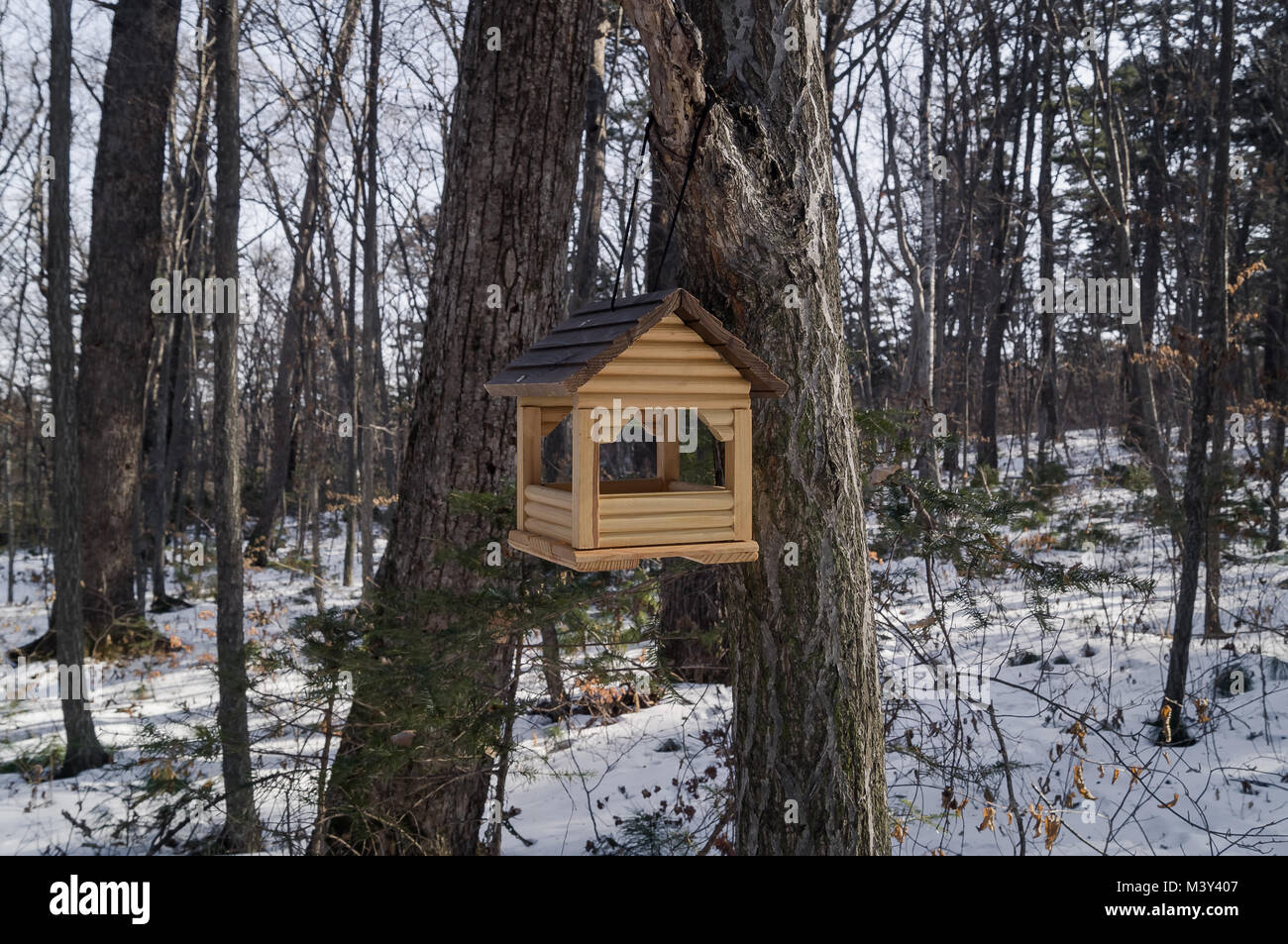 The Bird Feeder Is Made Of Wood In The Woods Stock Photo