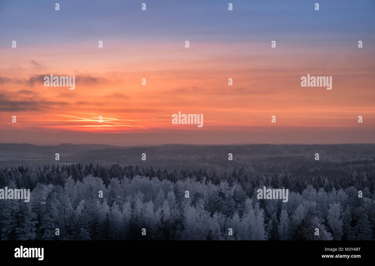 Scenic view with beautiful sunset and frosty tree at winter evening in Finland Stock Photo
