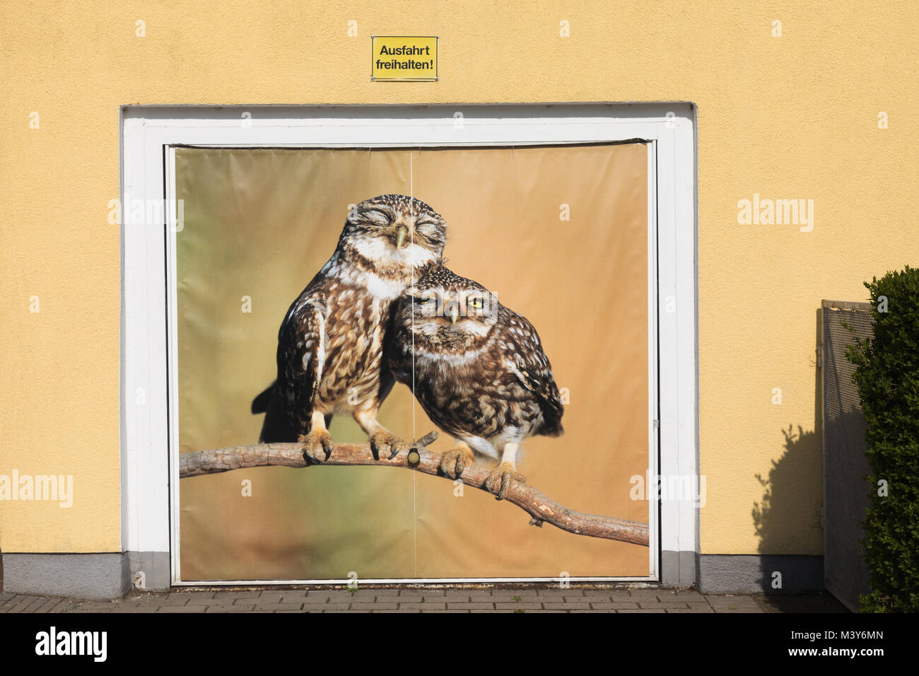 Photo Art on garage door in Zingst Stock Photo