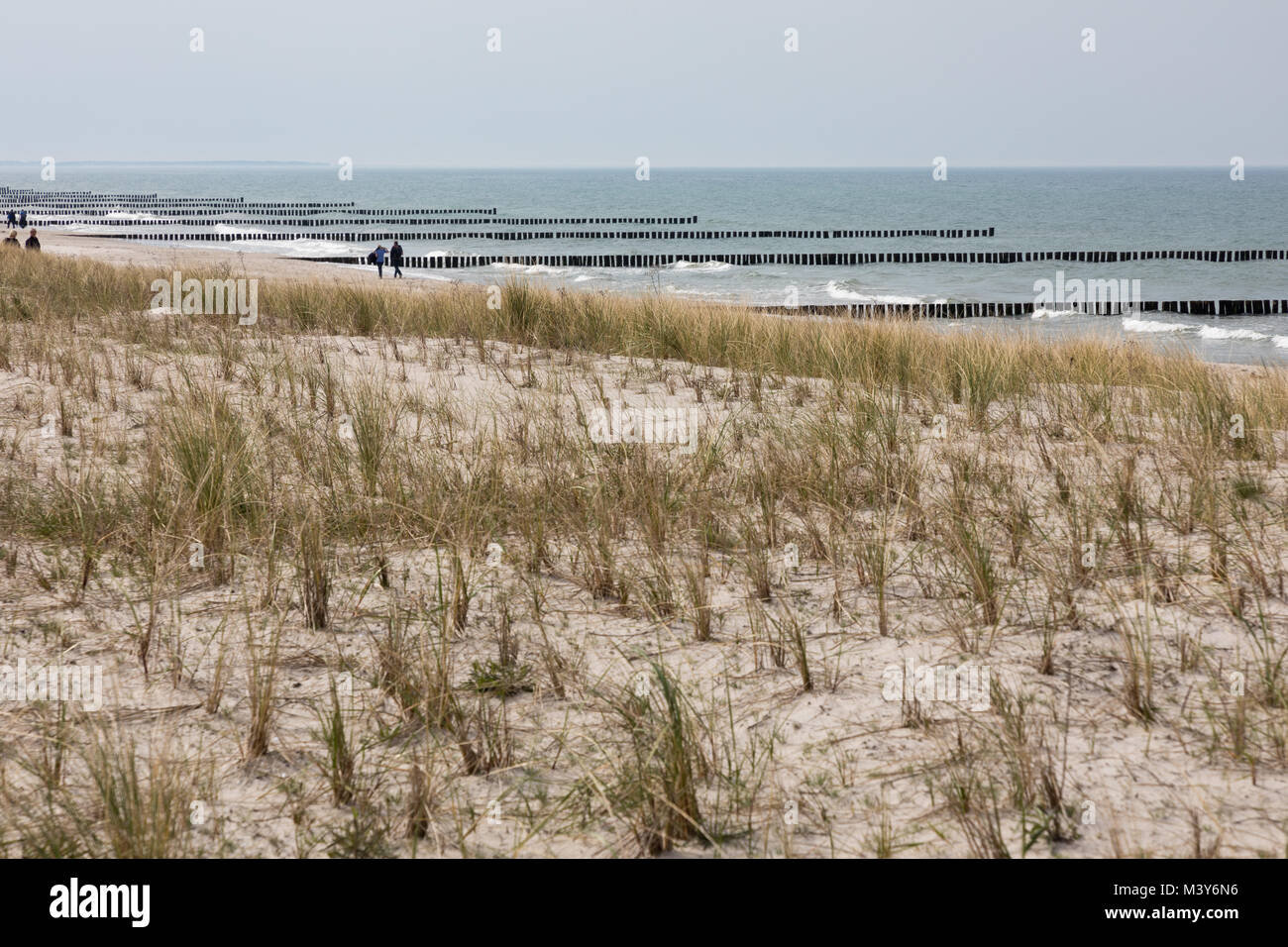 Beach at Zingst, Darß, Germany Stock Photo