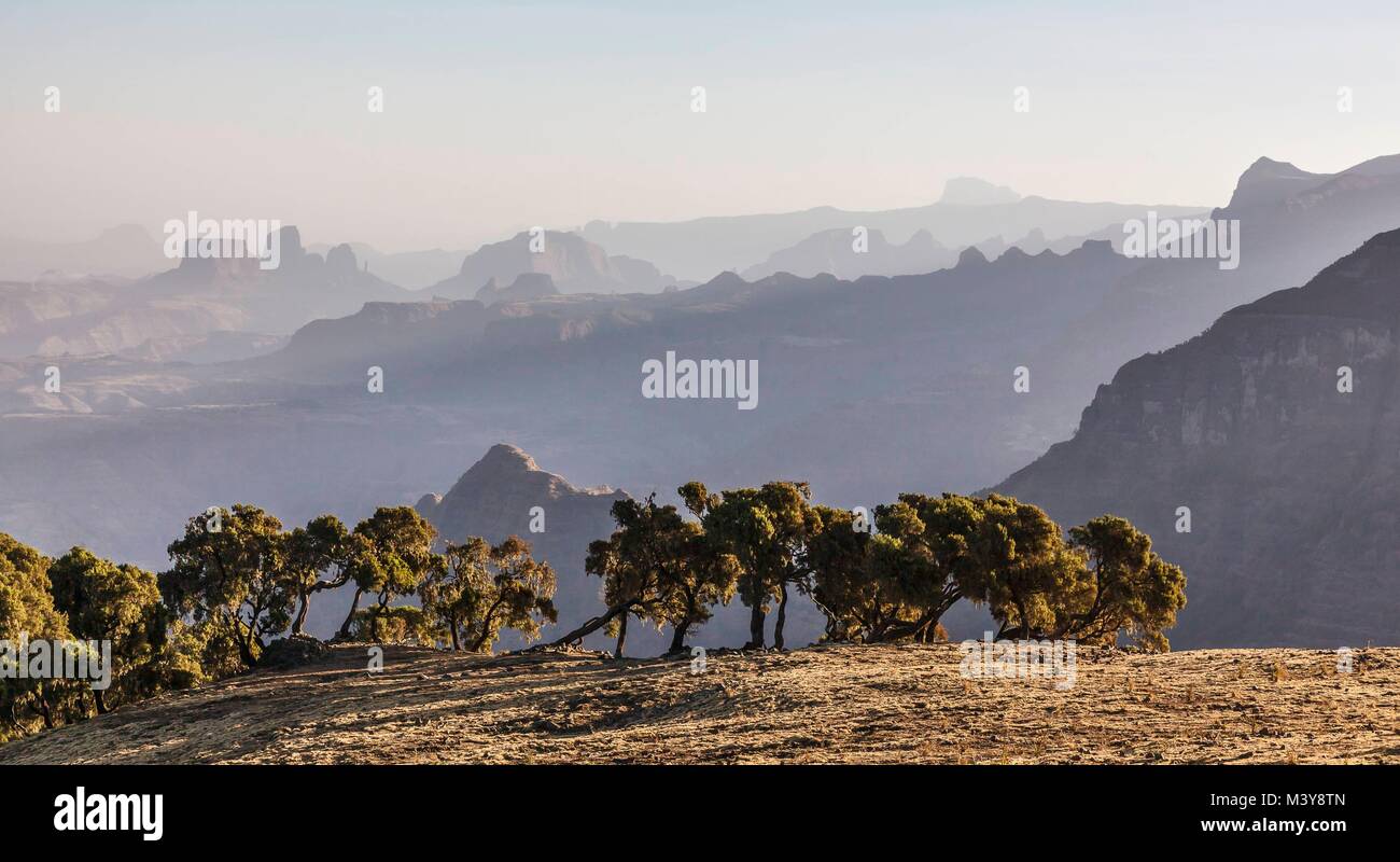 Ethiopia, Amhara region, Debark, Simien Mountains National Park listed as World Heritage by UNESCO, Simien mountain view Stock Photo