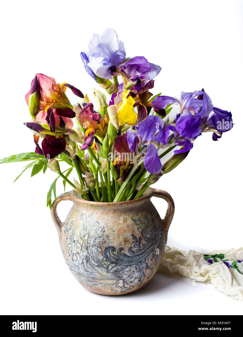 Mixed iris flowers in a vase against white background Stock Photo