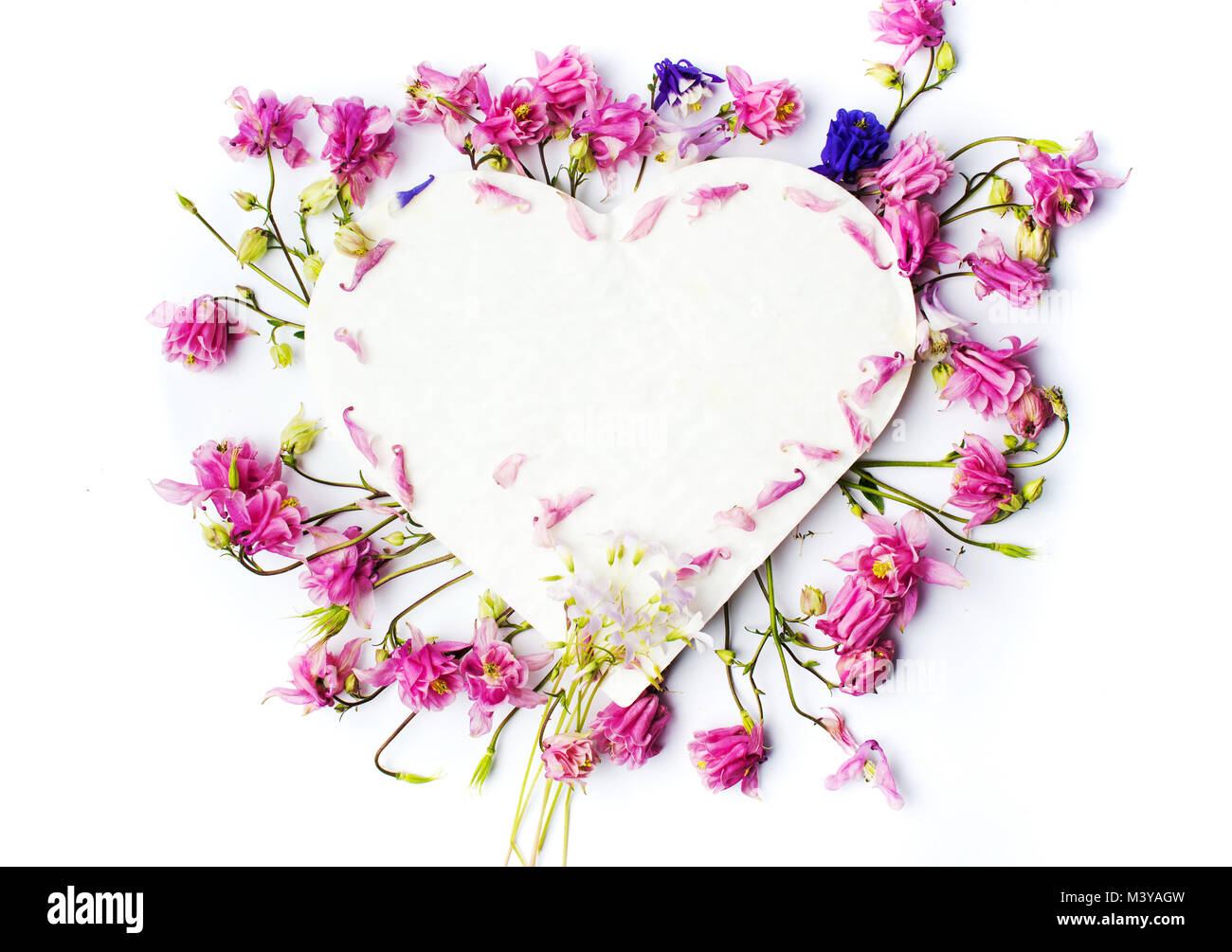 Heart shape decorated with fresh spring flowers top view Stock Photo