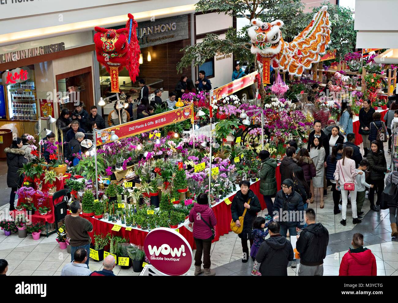 Vancouver, Canada. 12th Feb, 2018. People visit Aberdeen Centre's annual Chinese New Year Flower and Gift Fair in Vancouver, Canada, on Feb. 12, 2018. Credit: Andrew Soong/Xinhua/Alamy Live News Stock Photo