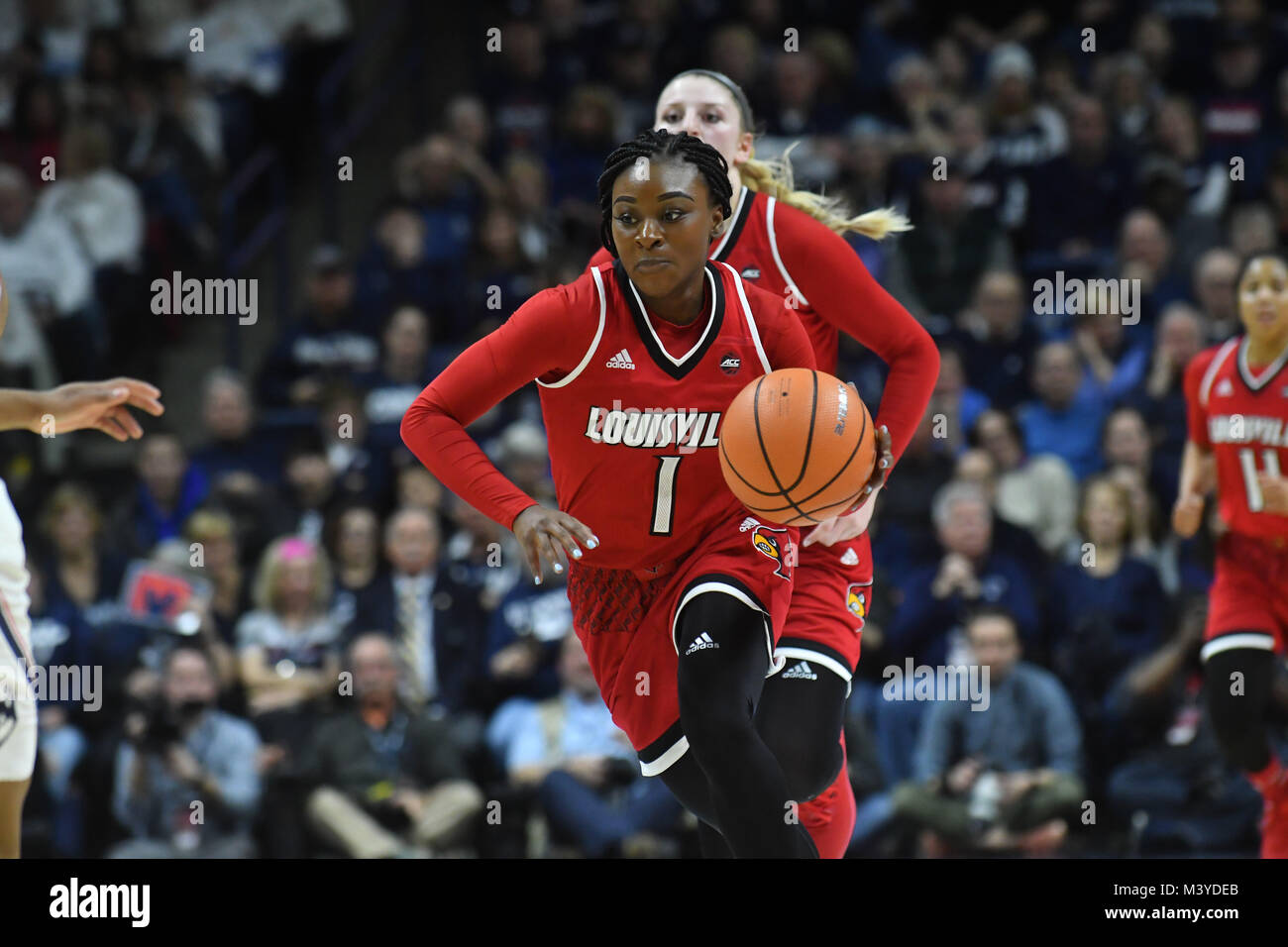 Stores, Connecticut, USA. 12th Feb, 2018. Dana Evans (1) of the Louisville Cardinals brings the ball up the floor during a game against Uconn Huskies at Gampel Pavilion in Stores, Connecticut. Gregory Vasil/Cal Sport Media/Alamy Live News Stock Photo