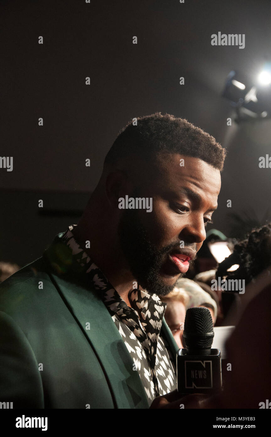 New York, USA. 12th February, 2018. Marvel Black Panther Red Carpet Event at NYFW Credit: Lauren Browdy/Alamy Live News Stock Photo