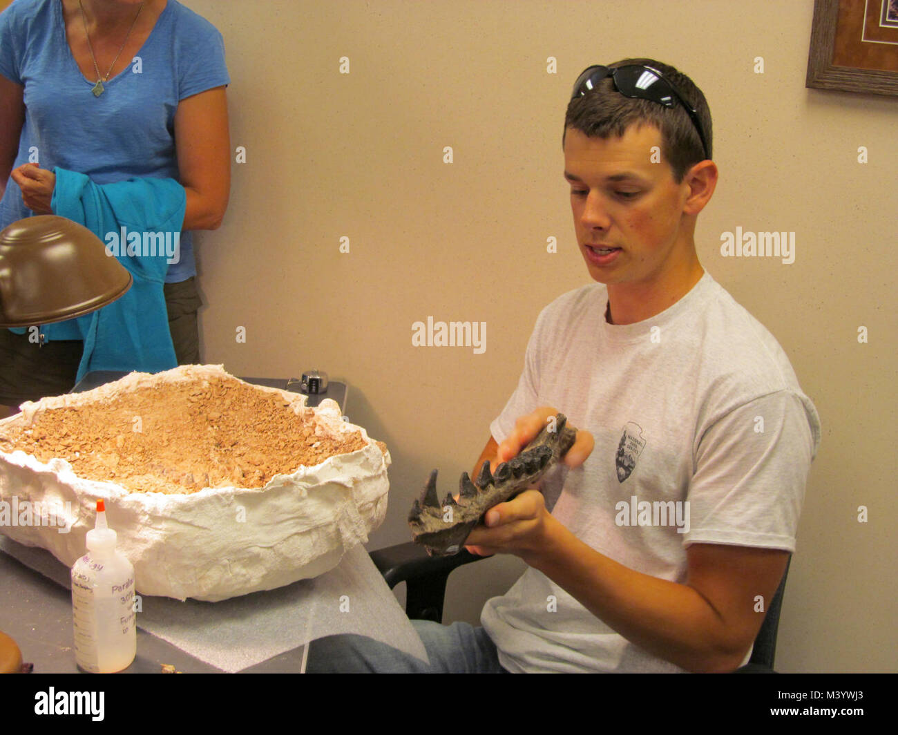 Levi Explaining Archaeotherium Jaw Cast. Levi is explaining the casting of an archaeotherium jaw to park visitors while working an excavated archaeotherium specimen. Stock Photo