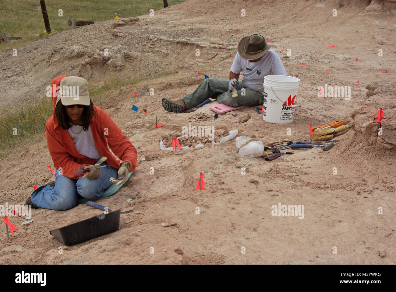 Michelle & Nick At Saber Site. After clearing the site of surface rock and fossils, work can begin on the active dig. Stock Photo