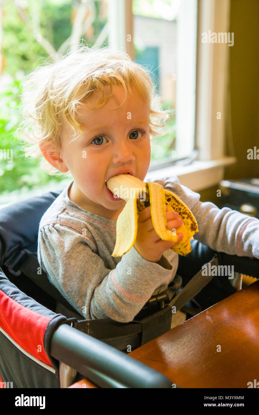 An 18 month old girl sitting at a table eating a banana. Stock Photo