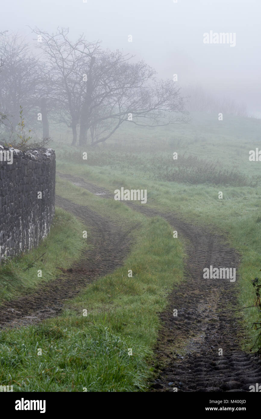 Misty morning Towy Valley Carmarthenshire Wales Stock Photo