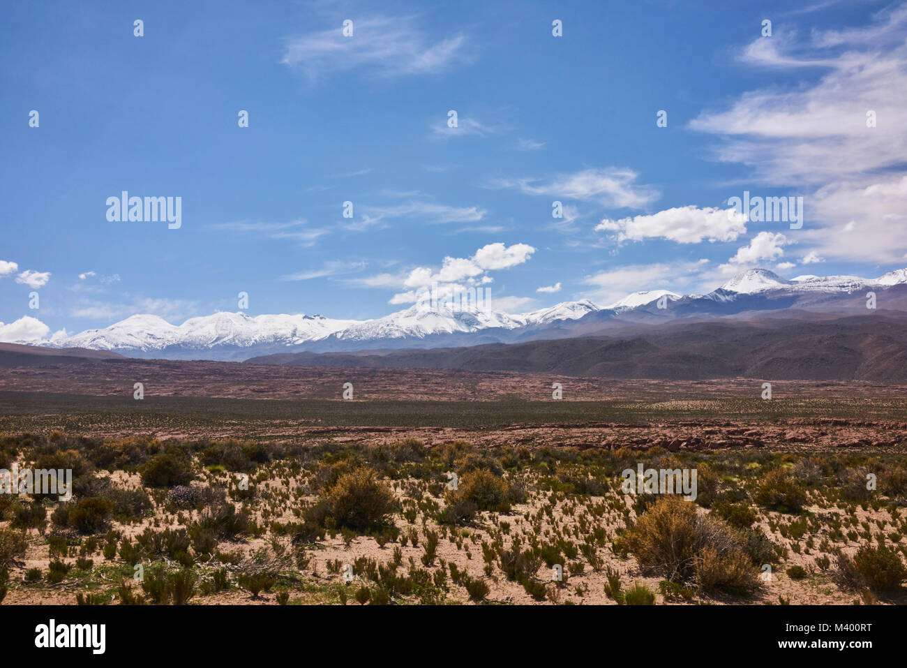 Arid landscape of the Atacama desert with the Andes Mountain range in the background. Stock Photo