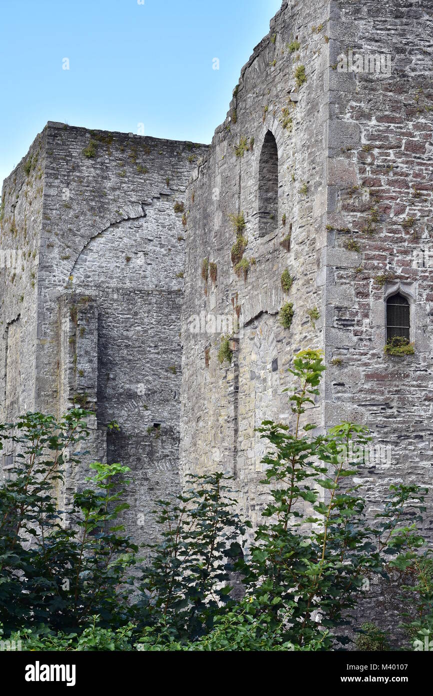 Conserved ruins of medieval stone castle from 12th century in town of Maynooth in Ireland. Stock Photo