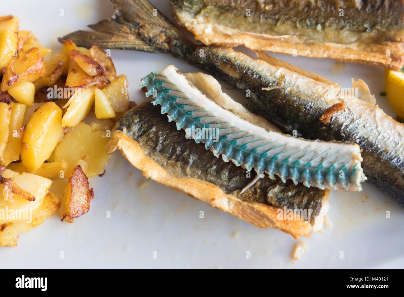 Needle fish (belone belone) on a plate, Wieck, Germany Stock Photo