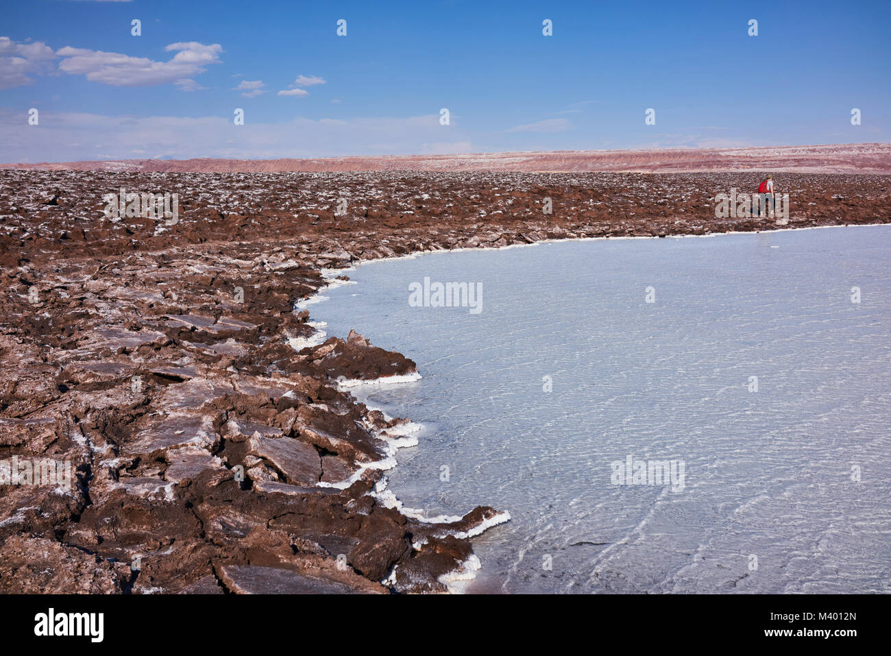 Salt lake flats terrain. Atacama desert imagery. Panorama Stock Photo Alamy