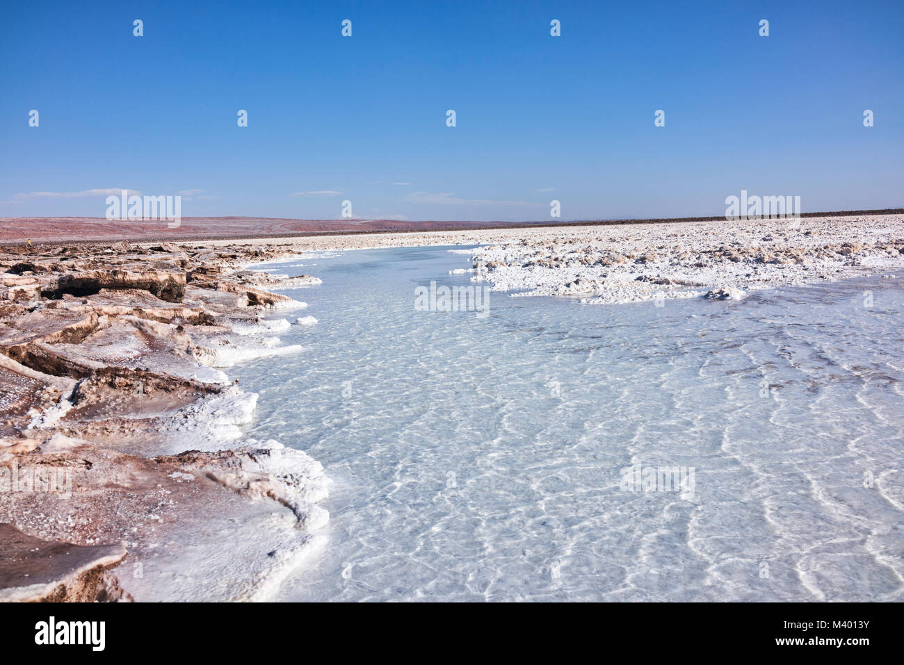 Salt lake flats terrain in Atacama imagery Stock Photo Alamy