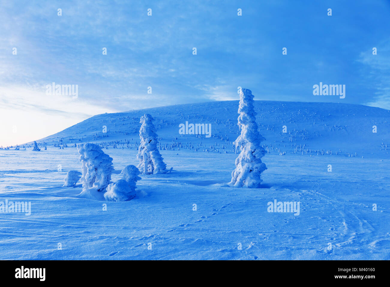 Winter landscape on the ridges in Krkonose, in front of sunrise, beautifully painted in shades of blue color. Travel concept. Krkonose National Park,  Stock Photo