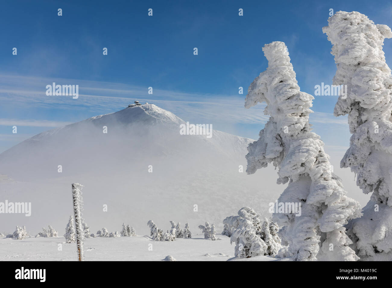 Winter ridges of the Krkonose Mountains, in the background of Snezka mountain, the highest mountain in the Czech Republic. Trees covered with frost Stock Photo
