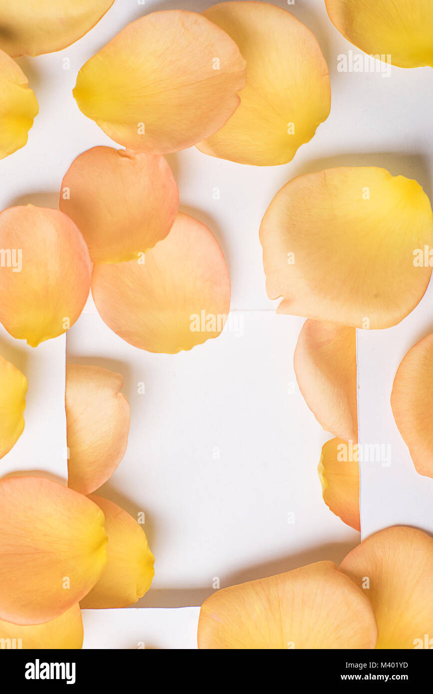 background of orange rose petals Stock Photo - Alamy