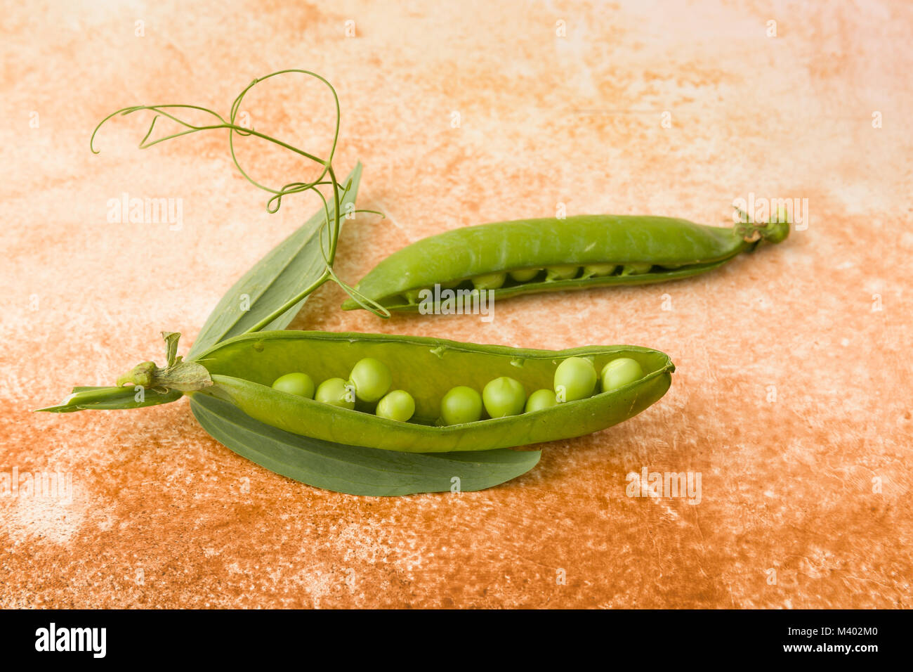 Sweet pea seeds hi-res stock photography and images - Alamy
