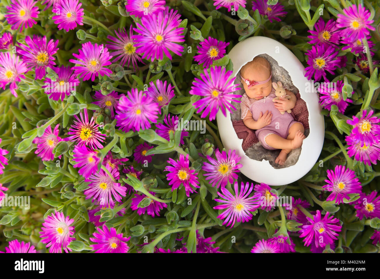 Newborn baby sleeping in an egg in pink iceplant Stock Photo Alamy