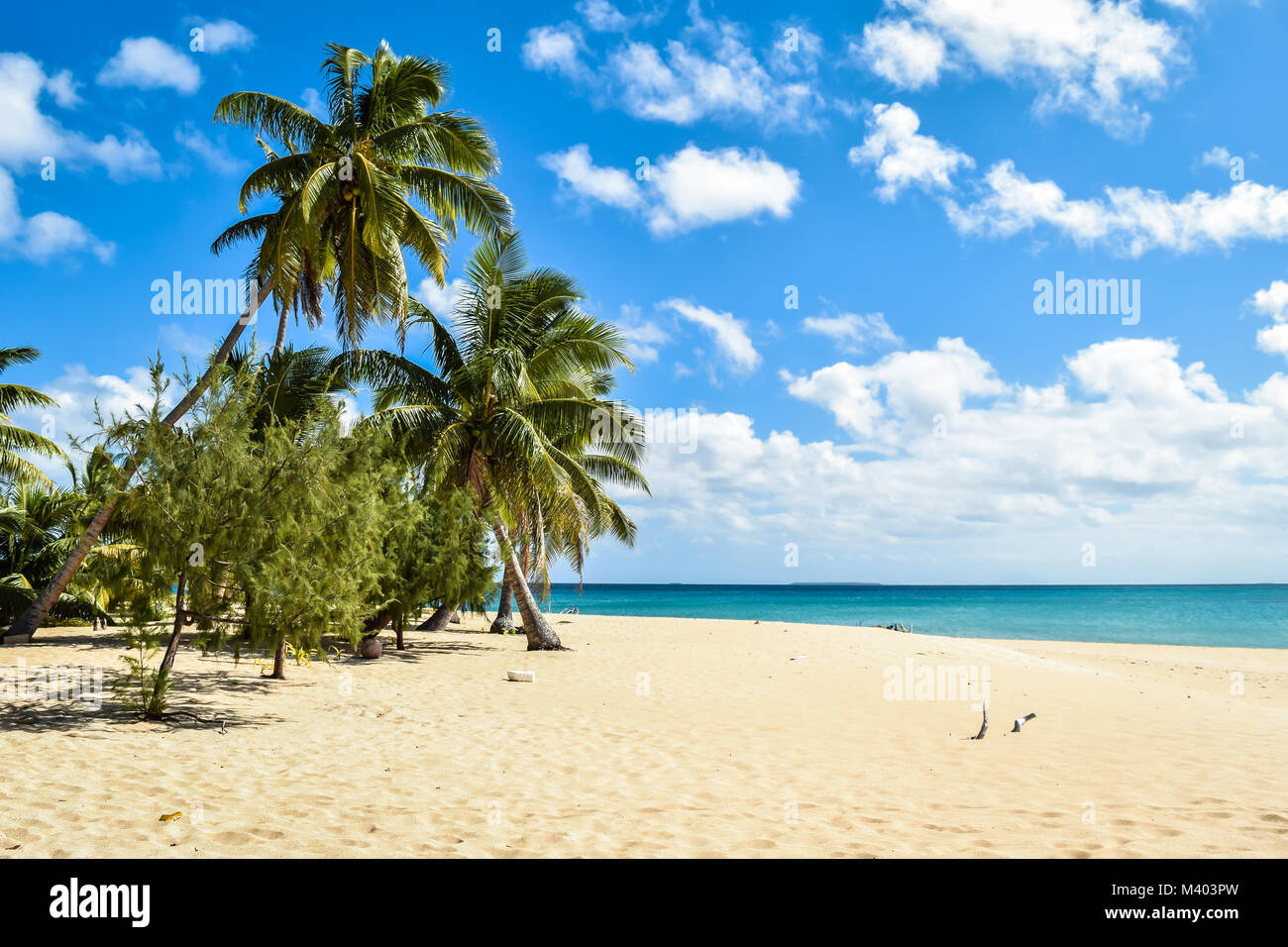 Crystal blue ocean and white sand beach with coconut palms, Uoleva, Tonga Stock Photo