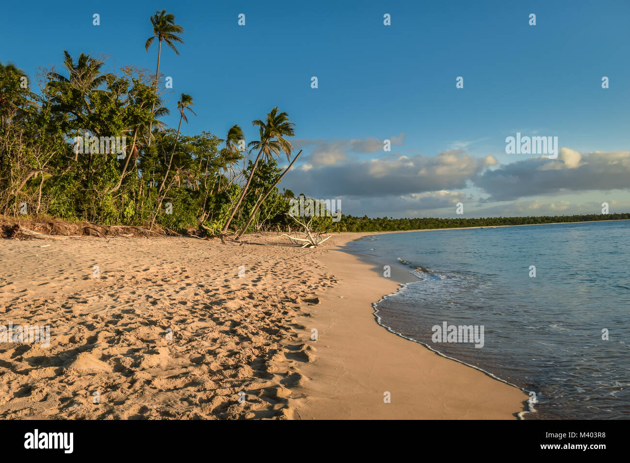 Golden sand beach with tropical sea at sunset, Uoleva, Tonga Stock Photo