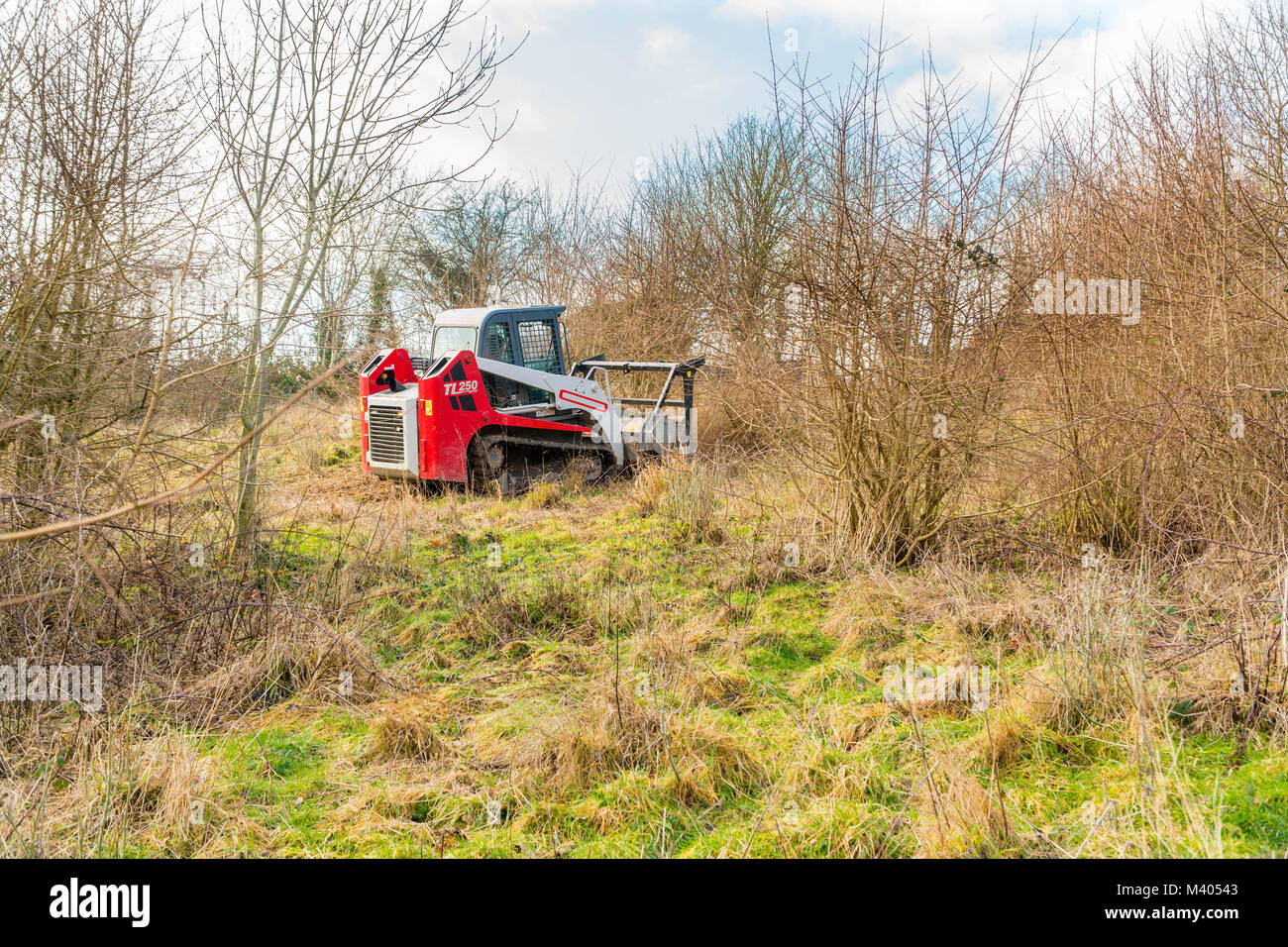 Brush cutter hires stock photography and images Alamy