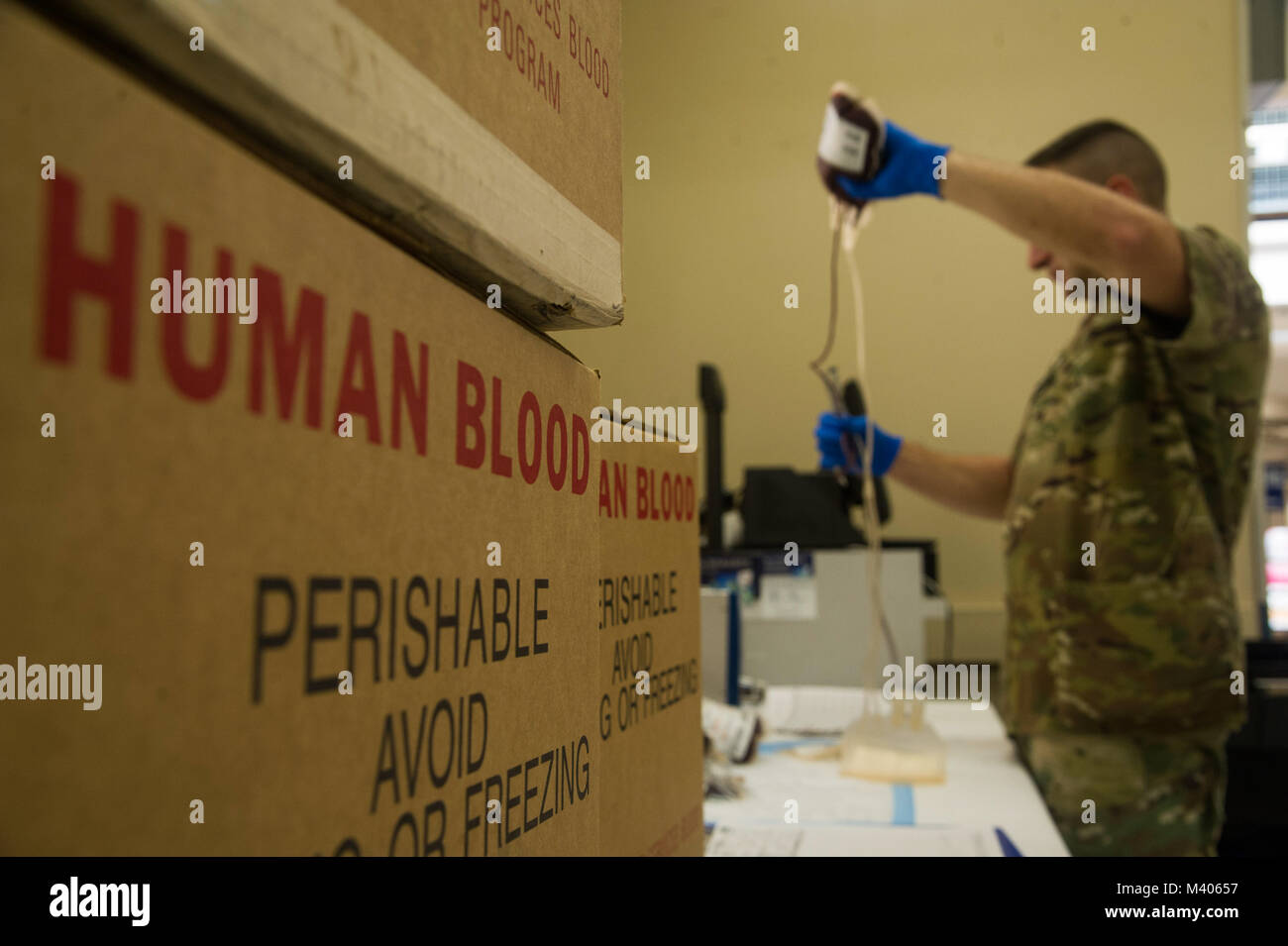 A phlebotomist assigned to Tripler Army Medical Center packages units of donated blood for transport during a blood drive at the Base Exchange, at Joint Base Pearl Harbor-Hickam, Feb. 6, 2018. The Tripler Army Medical Center Blood Donor Center holds multiple donation events a week, along with their clinic hours, to collect blood that will be used to treat military members, families, and veterans at home and abroad. (U.S. Air Force photo by Tech. Sgt. Heather Redman) Stock Photo
