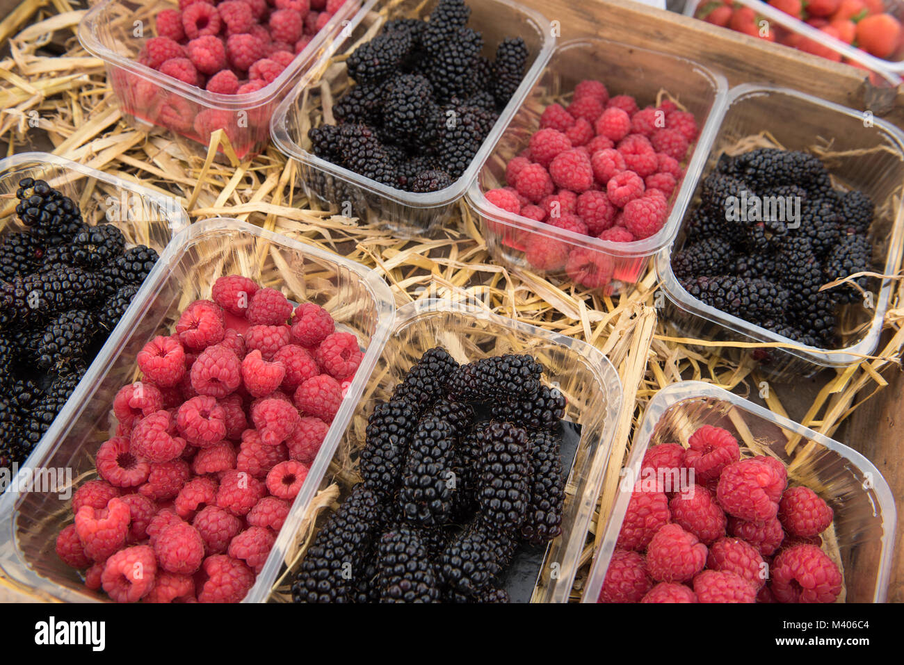 Karaka Blackberries and Raspberries on display at a farmers market in Angus, Scotland. Stock Photo