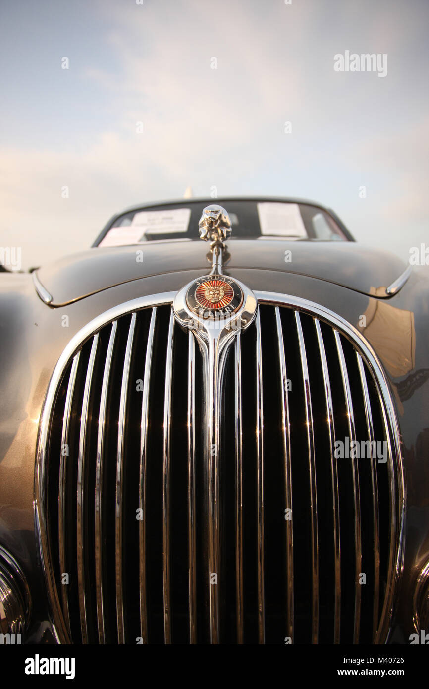 Carcolor High Resolution Stock Photography and Images - Alamy
