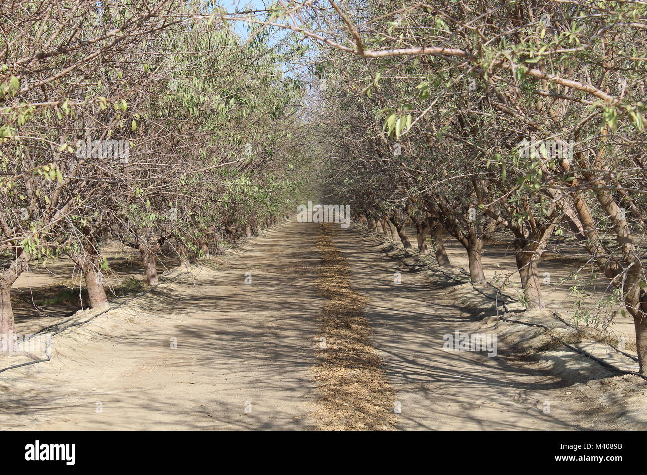 Long narrow road hi-res stock photography and images - Alamy