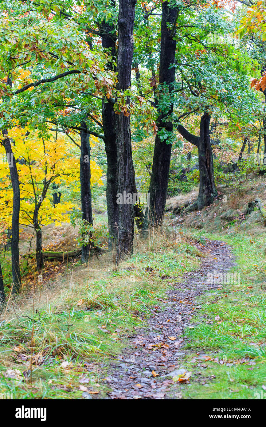 Herbstimpressionen aus dem Selketal im Harz Stock Photo