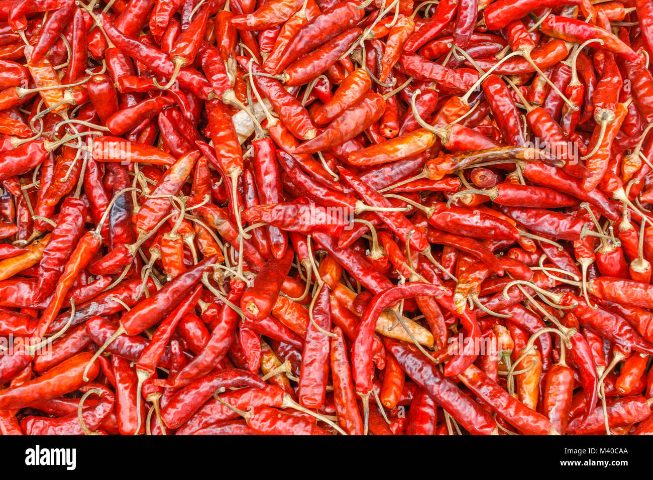 Drying chilly peppers. Himalayas, Nepal Stock Photo