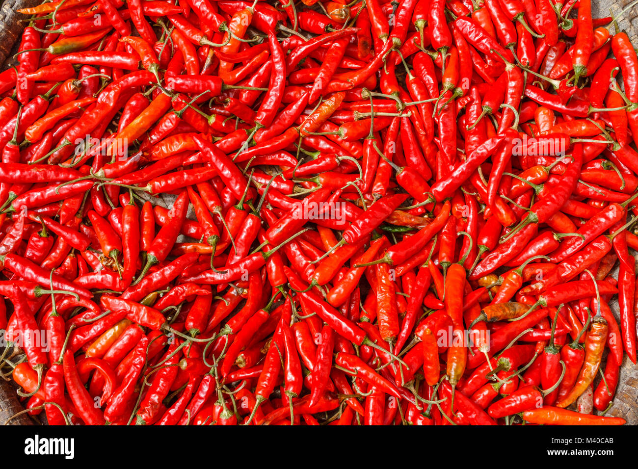 Drying chilly peppers on a round thatched tray. Himalayas, Nepal Stock Photo