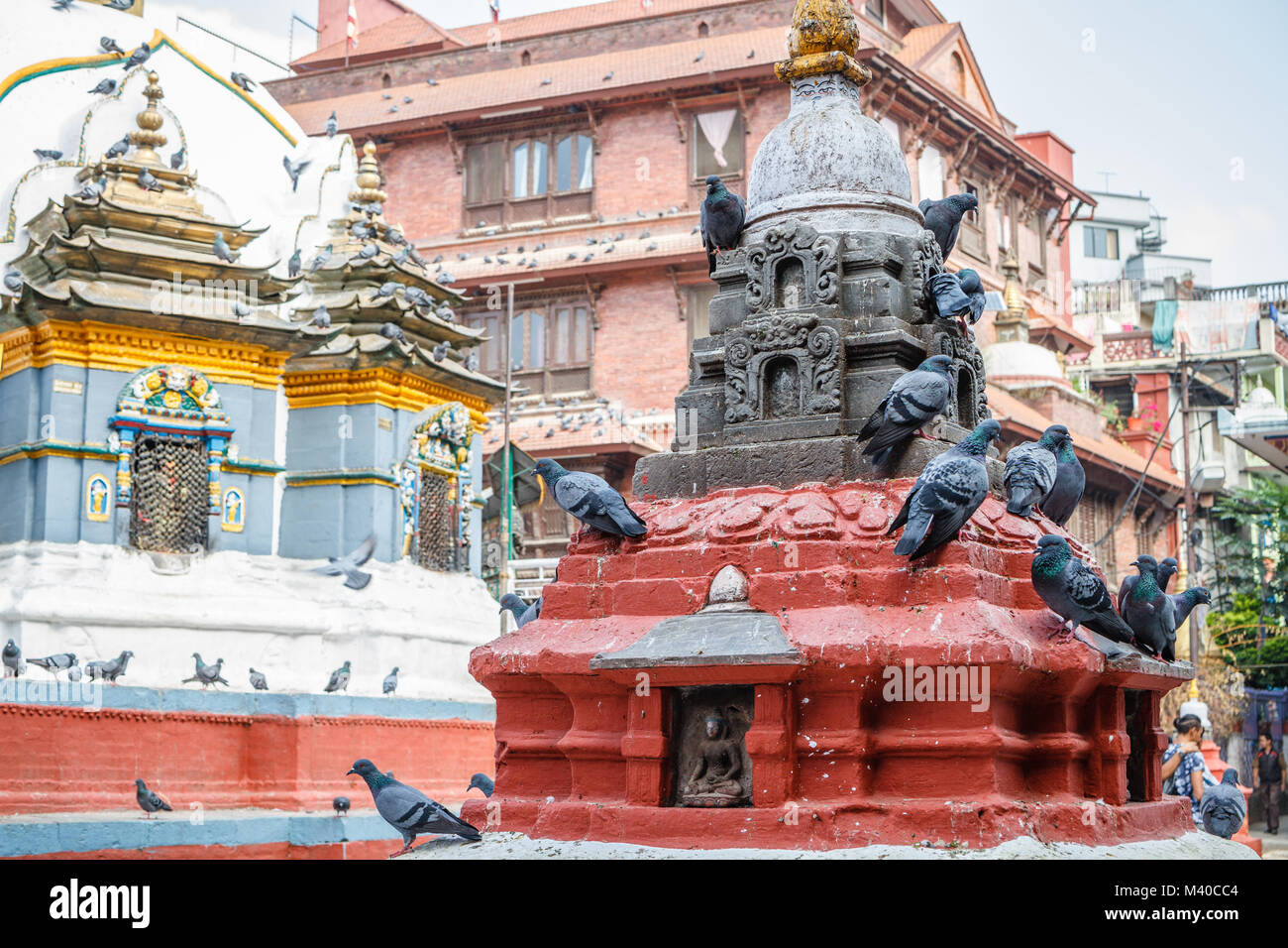 Pigeons at Shree Gha Buddhist Stupa, Thamel, Kathmandu, Nepal Stock Photo