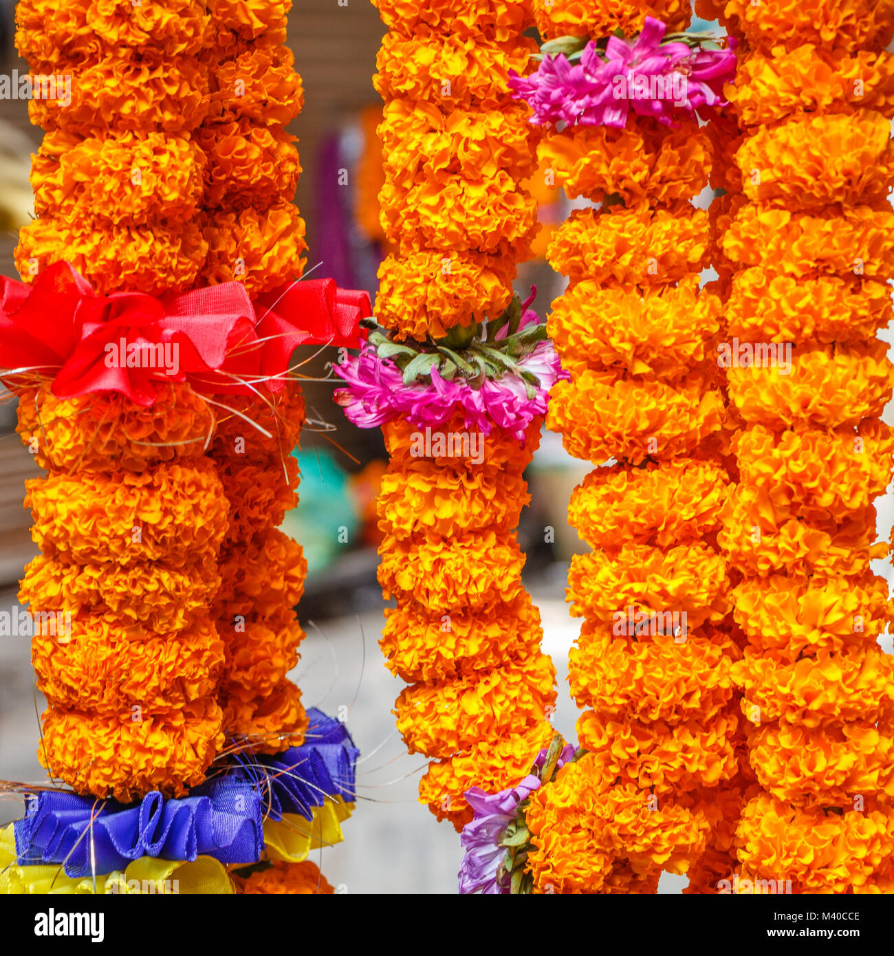 Mala, traditional Nepalese flower garlands made with Tagetes (Marigold) sold in the markets for daily worships and rituals, Nepal. Square image. Stock Photo