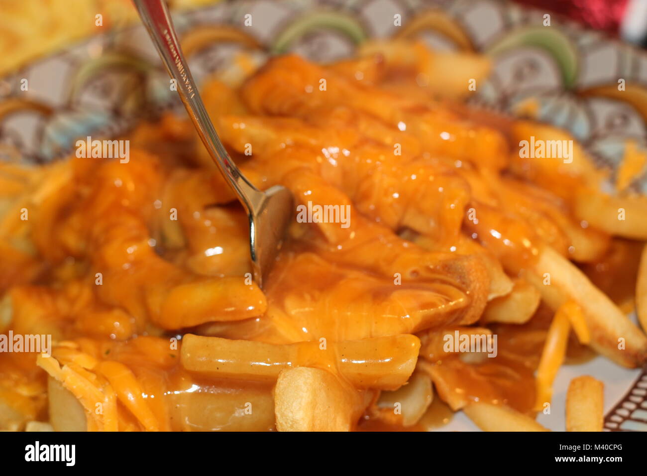 Canadian Poutine with melted cheese and a fork in it Stock Photo